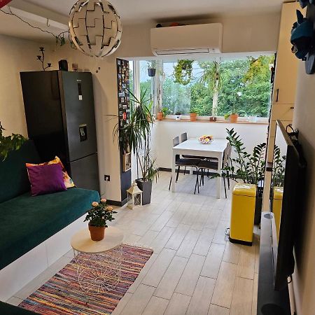 רייקה Apartman Carnevalus מראה חיצוני תמונה