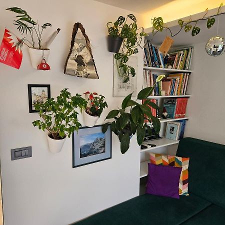 רייקה Apartman Carnevalus מראה חיצוני תמונה