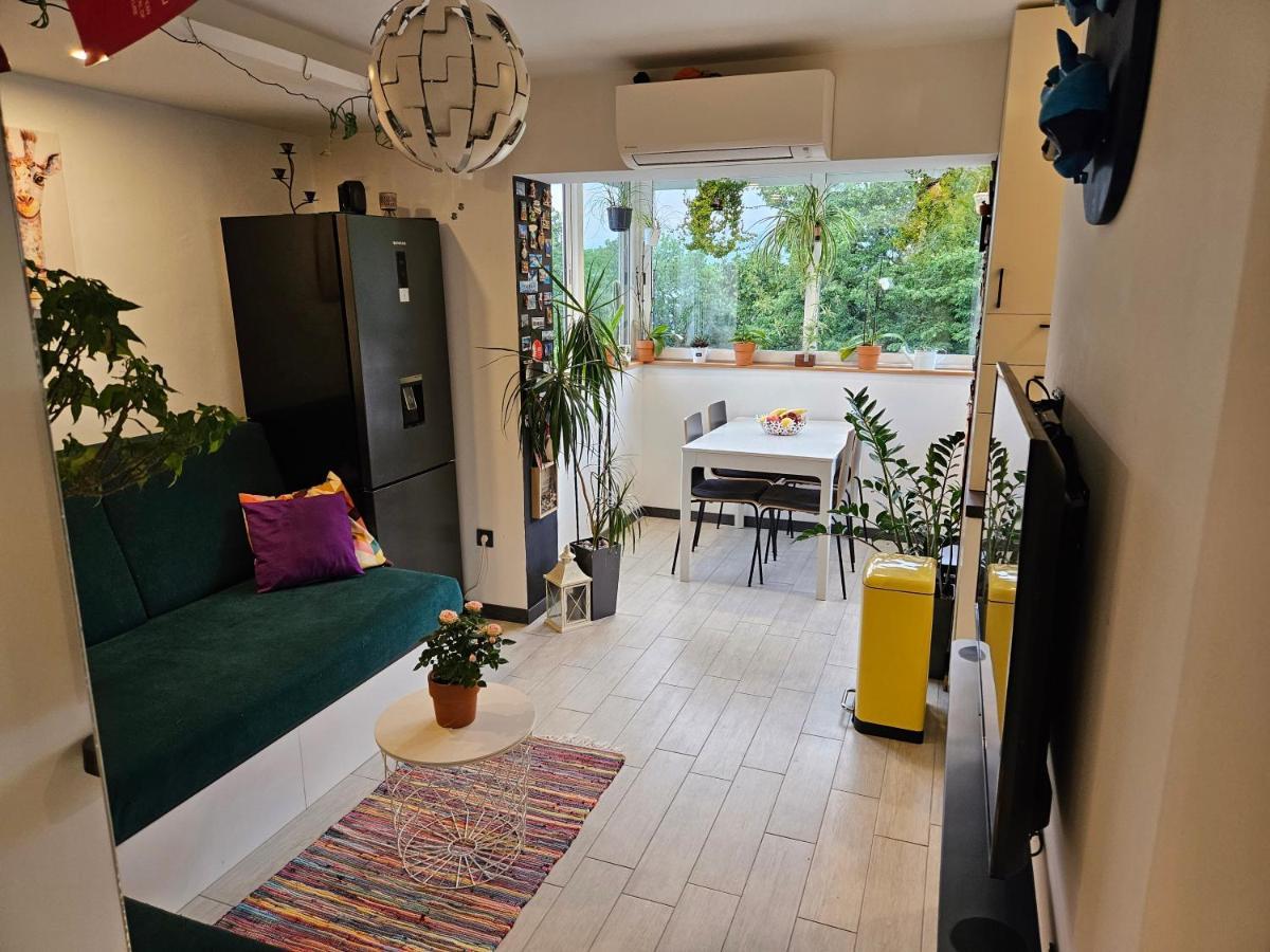 רייקה Apartman Carnevalus מראה חיצוני תמונה
