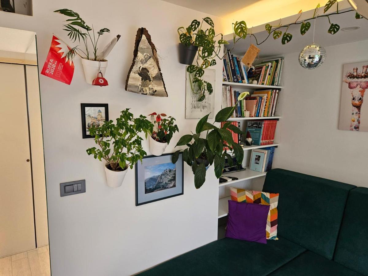 רייקה Apartman Carnevalus מראה חיצוני תמונה