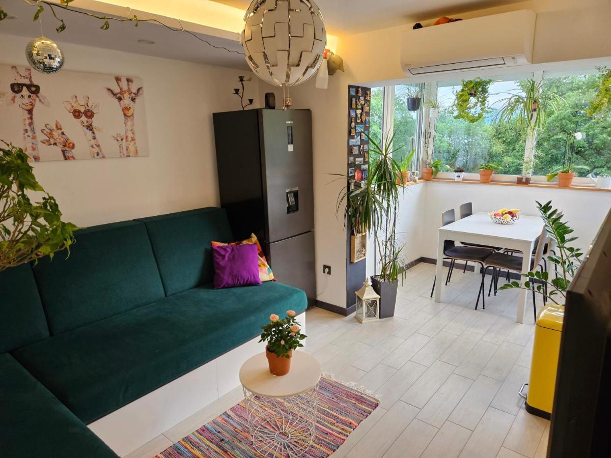 רייקה Apartman Carnevalus מראה חיצוני תמונה